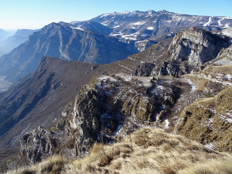 Rupicapra rupicapra.....dal Trentino Alto Adige